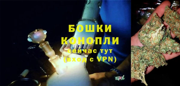 мяу мяу мука Гусь-Хрустальный