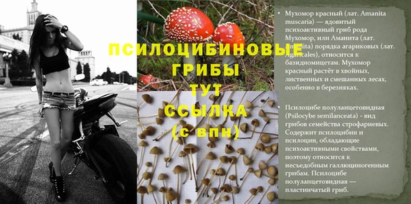 скорость Гусиноозёрск