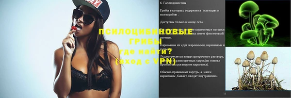 мяу мяу мука Гусь-Хрустальный