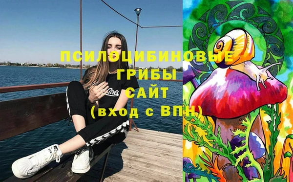 мяу мяу мука Гусь-Хрустальный