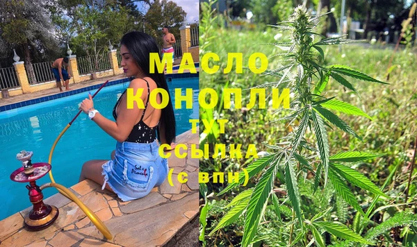 мяу мяу мука Гусь-Хрустальный