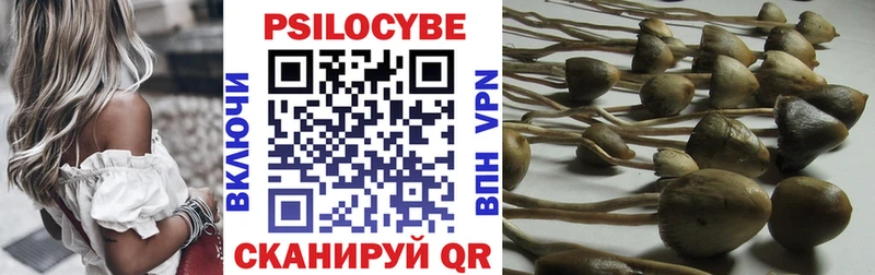 Галлюциногенные грибы GOLDEN TEACHER  Мытищи 